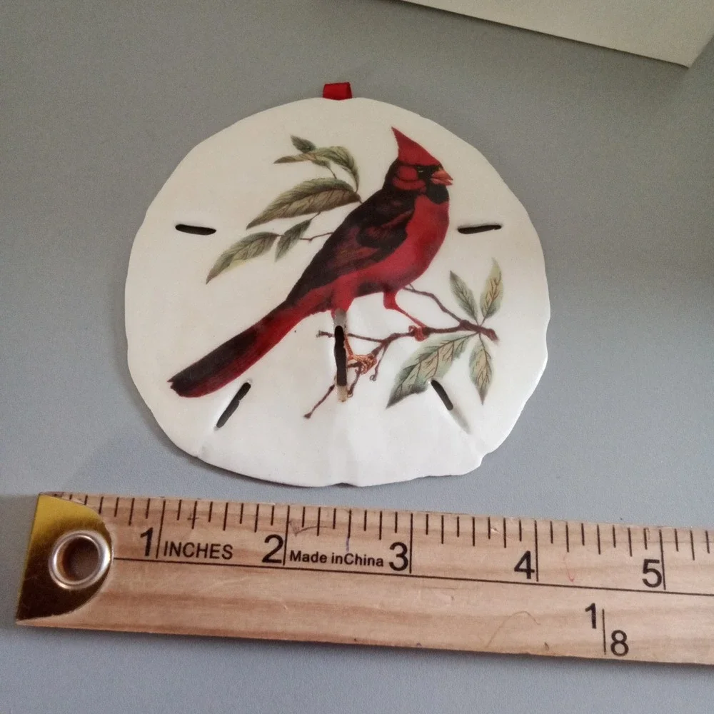 Real Sand Dollar Cardinal Bird Ornament Coastal Christmas Nature Decor White Red